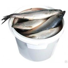 Сельдь малосольная 10л/7кг  (Fish Product Premium) (ri41004)