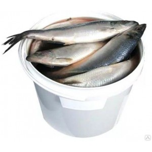 Сельдь малосольная 10л/7кг  (Fish Product Premium)